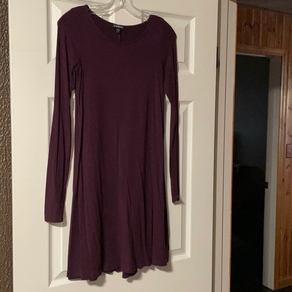 Express Knit Dress